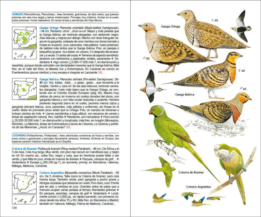 Página de muestra de Aves de España